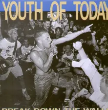 Vinyl YOUTH OF TODAY - BREAK DOWN THE WALLS