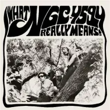 Vinyl WHAT NGC-4594 REALLY MEANS!