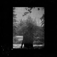 Vinyl RUINS