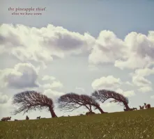 CD WHAT WE HAVE SOWN