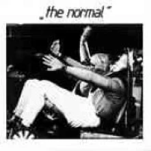 Vinyl NORMAL - WARM LEATHERETTE/T.V.O.D
