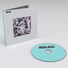 CD FOR THE SAKE OF BETHEL WOODS