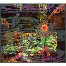 CD DER BLUTHARSCH - END OF THE BEGINNING