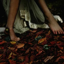 Vinyl E-L-R - VEXIER