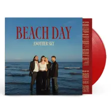 Vinyl Beach Day