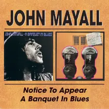 CD NOTICE TO APPEAR / A BANQUET IN BLUES