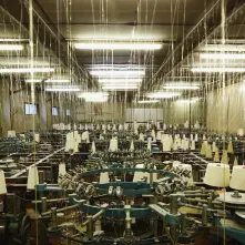 Vinyl TOE - FOR LONG TOMORROW