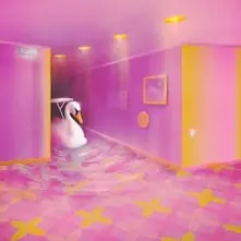 Vinyl LIMINAL SPACES