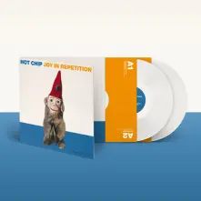 Vinyl JOY IN REPETITION