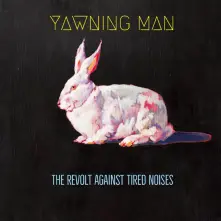 Vinyl REVOLT AGAINST TIRED NOISES