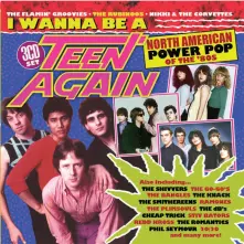 CD I WANNA BE A TEEN AGAIN AMERICAN POWER POP 1980-1989