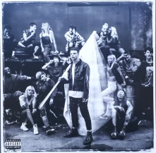 Vinyl The Underrated Youth