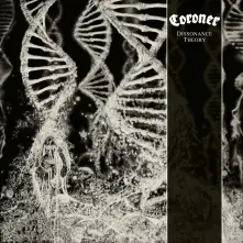 Vinyl Dissonance Theory