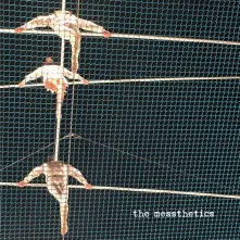 Vinyl MESSTHETICS - MESSTHETICS