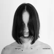 Vinyl A DANGER TO OURSELVES