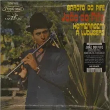Vinyl 7-GAROTO DO PIFE / HOMENAGEM A LUDUGERO