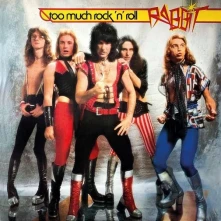 CD TOO MUCH ROCK 'N' ROLL
