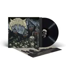 Vinyl Mountains of Madness
