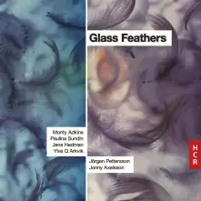 CD GLASS FEATHERS