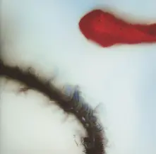 CD STUBBORN HEART