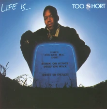 Vinyl Life Is... Too Short