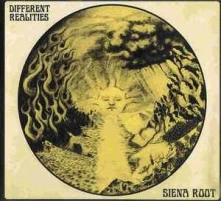 Vinyl SIENA ROOT - DIFFERENT REALITIES