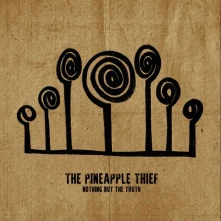 Vinyl PINEAPPLE THIEF - NOTHING BUT THE TRUTH