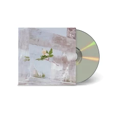 CD WINDFLOWERS