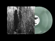 Vinyl TODAY, I WROTE NOTHING