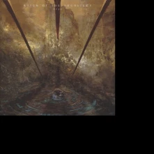 CD REIGN OF THE ARCHITECT - RISE