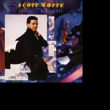 CD WHITE, SCOTT - SUCCESS NEVER ENDS