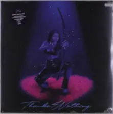 Vinyl THANKS 4 NOTHING