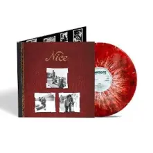 Vinyl NICE
