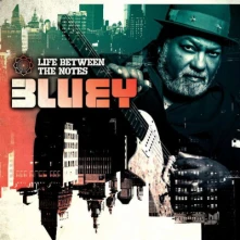CD Bluey - Life Between the Notes