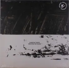 Vinyl SWEATING THE PLAGUE