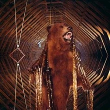 Vinyl IT STILL MOVES