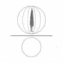 Vinyl Spheres Collapser