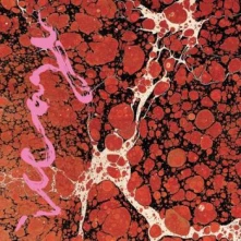Vinyl ICEAGE - BEYONDLESS