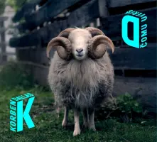 Vinyl Čomu uveríš