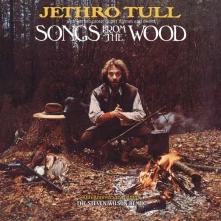 Vinyl SONGS FROM THE WOOD