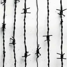 Vinyl Casper - Lang Lebe Der Tod