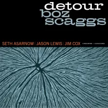 Vinyl DETOUR