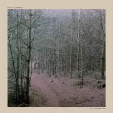 Vinyl LOUIS - JE NE SUIS PAS TOMBE