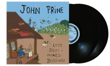 Vinyl LOST DOGS + MIXED BLESSINGS
