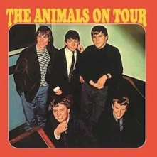 Vinyl ANIMALS - ON TOUR