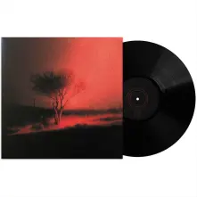 Vinyl PISS IN THE WIND