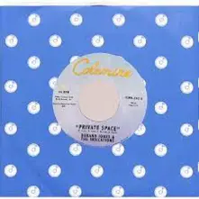 Vinyl 7-PRIVATE SPACE