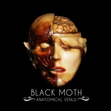 CD BLACK MOTH - ANATOMICAL VENUS