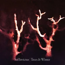 CD SOL INVICTUS - TREES IN WINTER
