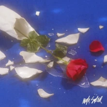 Vinyl MYTH SYZER - BISOUS